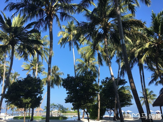 蜜月之都马尔代夫,蜜月旅行之马尔代夫
