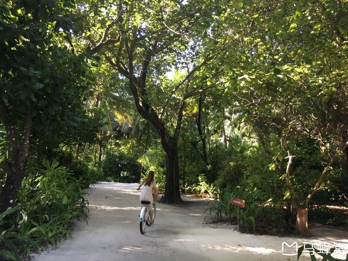 蜜月之都马尔代夫,蜜月旅行之马尔代夫