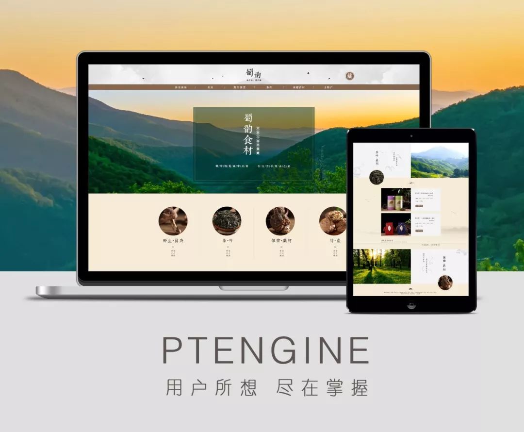 seo域名怎么绑定一级目录,seo新手如何选择合适的域名类型