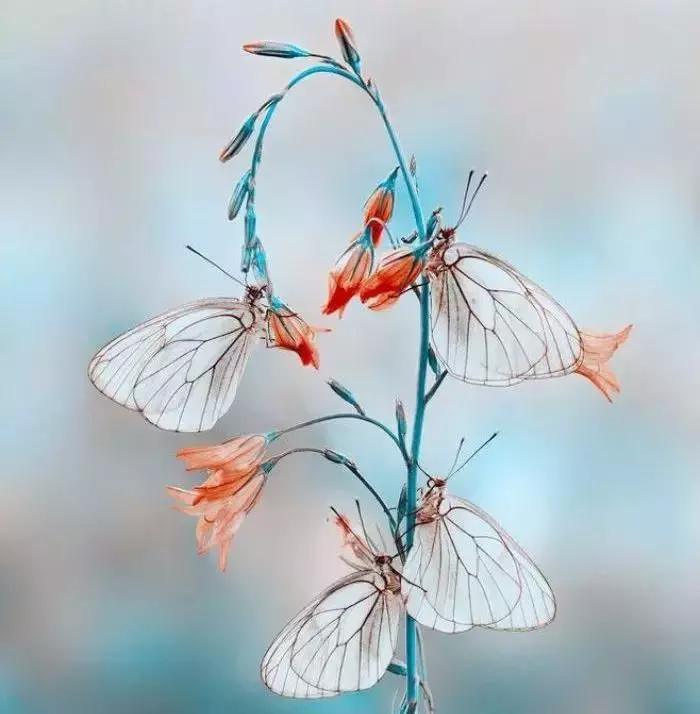 不怕别人对你使坏就怕别人对你好,不怕你占便宜就怕代价太大