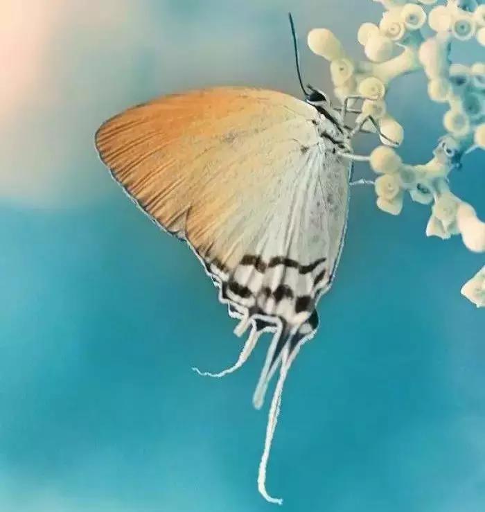 不怕别人对你使坏就怕别人对你好,不怕你占便宜就怕代价太大