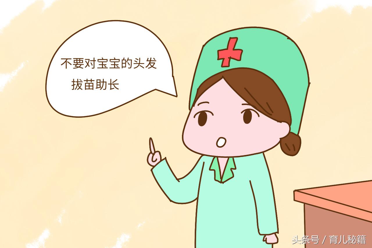 用姜生发哪种效果最好,生姜生发正确涂抹方式