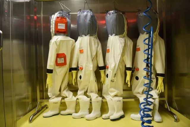 病毒的实验室是什么样子的 (探访病毒实验室)