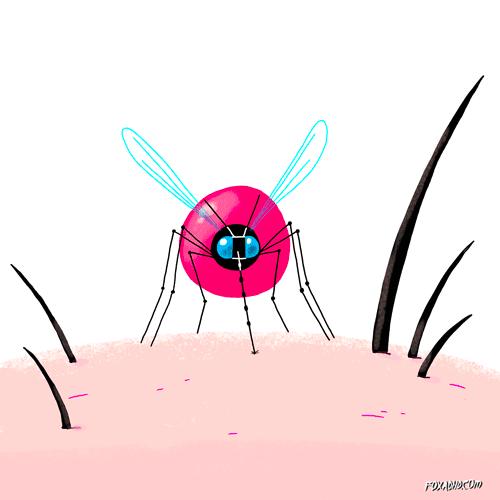 蚊子叮咬的危害科普视频,蚊子警示语