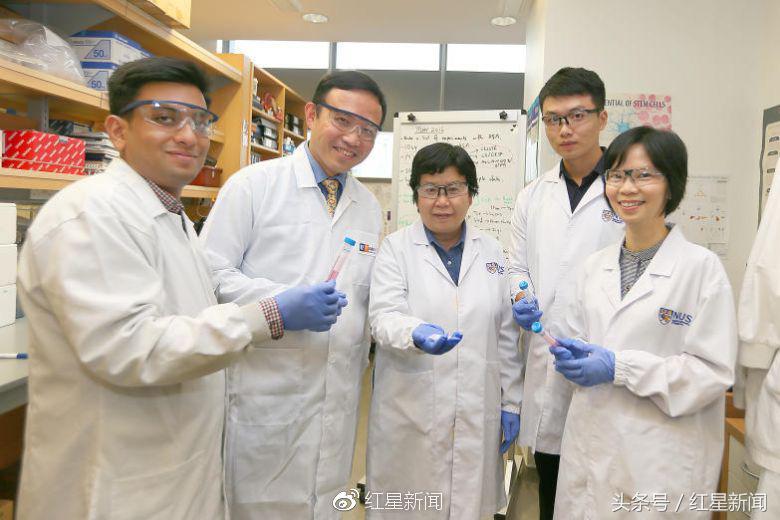 血液类癌症治疗新突破，科学家发现增加干细胞数量物质