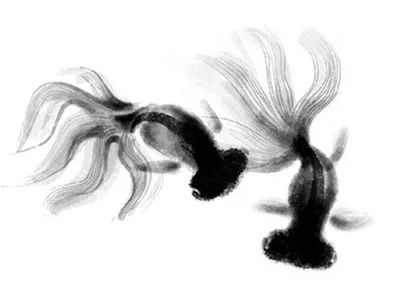 吴冠中年轻时和晚年的思想对比 (吴冠中对人生的感悟)