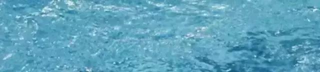 知乎上点赞最高的十条神回复,来自知乎的32个神回复笑死我了