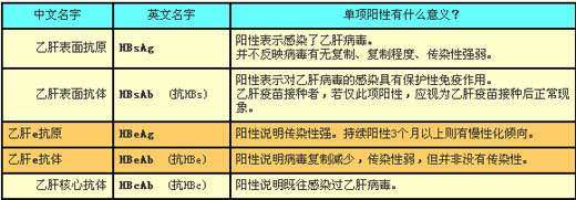 乙肝知识100条,乙肝的十大认识深度解析