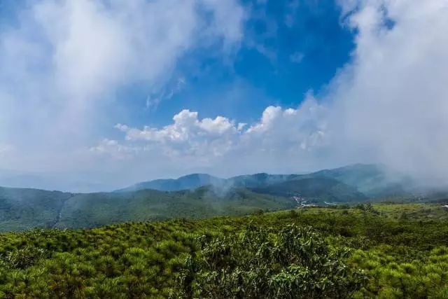 攀枝花市周边清凉避暑去哪里最好,夏季攀枝花旅游景点打卡推荐
