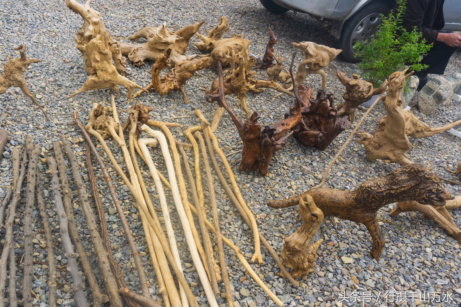 农村常见的树根摆件,农村树根制作工艺品