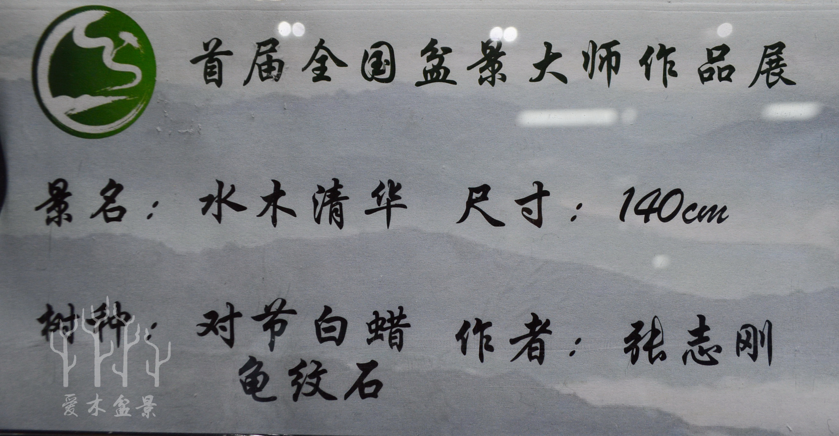 盆景大师张志刚简历,盆景大师张志刚所有作品欣赏