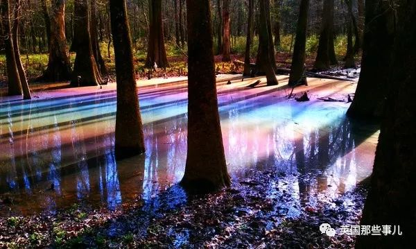 一波强迫症治愈图正在向你袭来，看完神清气爽有木有～