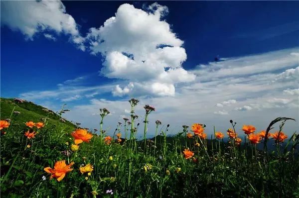邯郸a级景区免票政策,河北邯郸7月景区优惠
