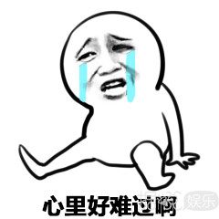 带有足球场的别墅,足球场别墅效果图