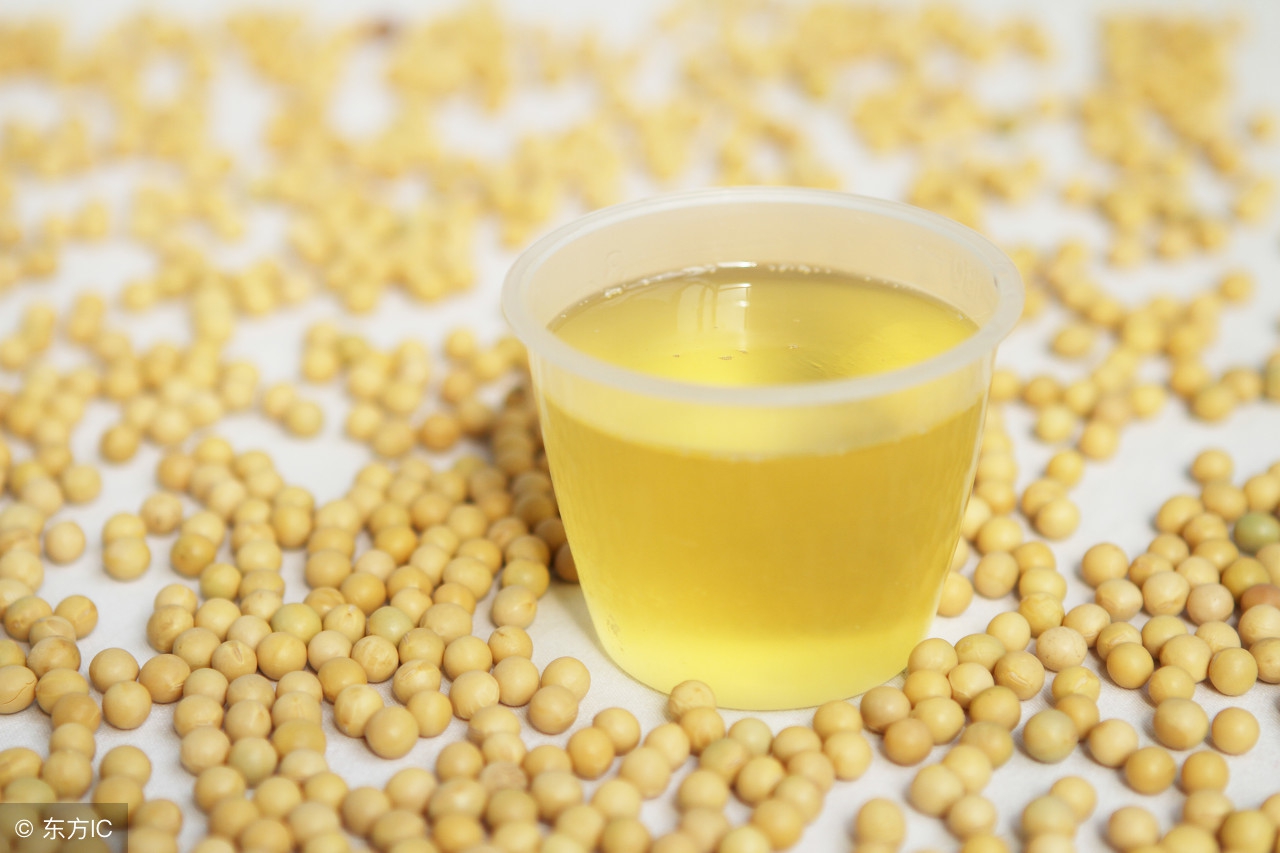 每日大豆油价格最新行情,大豆油价格最新行情现在的情况