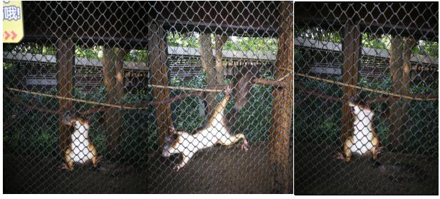 武汉春天周末带孩子玩攻略,这个季节武汉哪里适合带孩子去玩