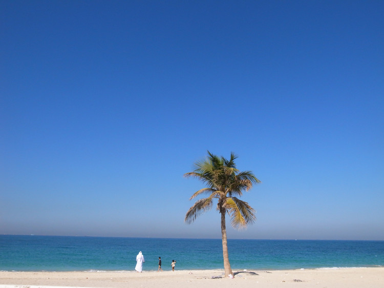 阿联酋穷酋长,阿联酋有哪七个酋长国哪个最穷