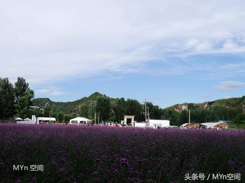 北京京郊游好去处,北京薰衣草庄园风景