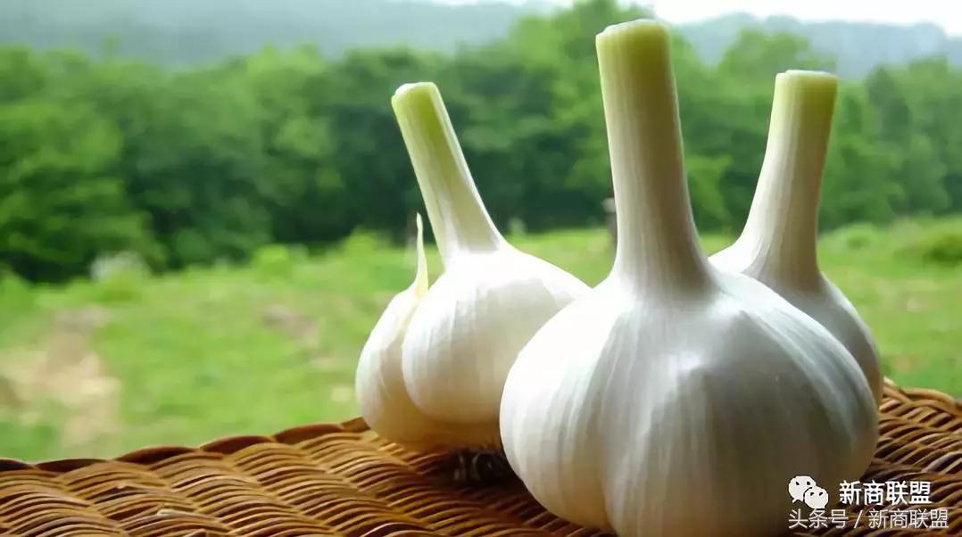 条条大道通罗马：中国民营企业55种融资方式