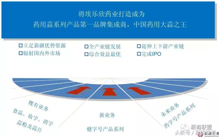 条条大道通罗马：中国民营企业55种融资方式
