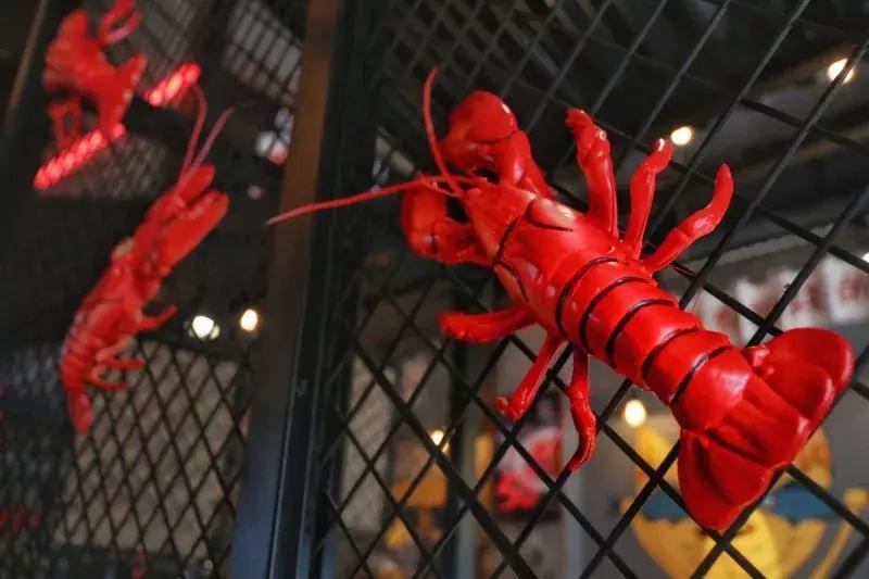 龙虾吃法剥法,澳洲龙虾吃法