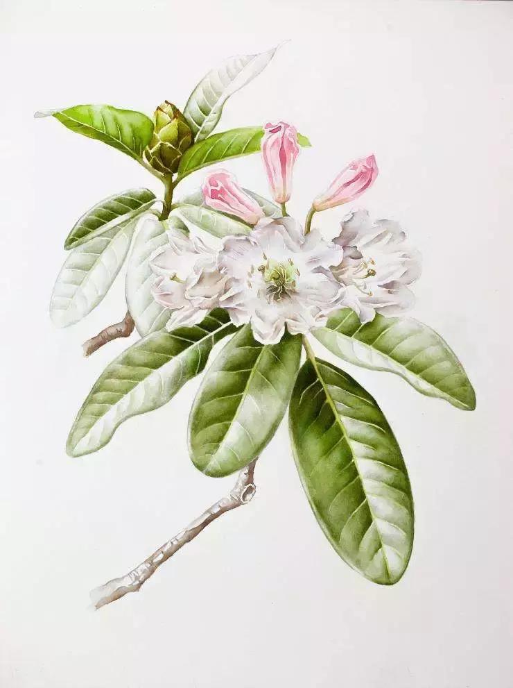 大理每个季节都很美,在大理每天都是那么的美好