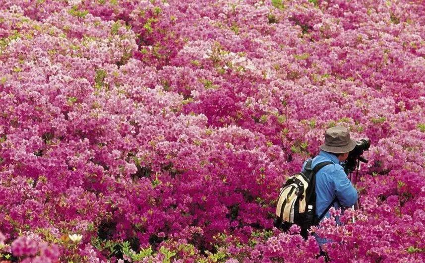 大理每个季节都很美,在大理每天都是那么的美好