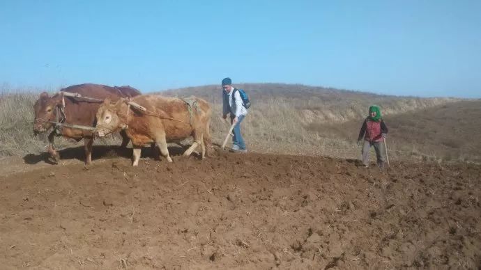 回想四十年前的我,回忆四十年的我