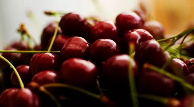 新买樱桃竟然生蛆虫！这样的樱桃还能吃吗？