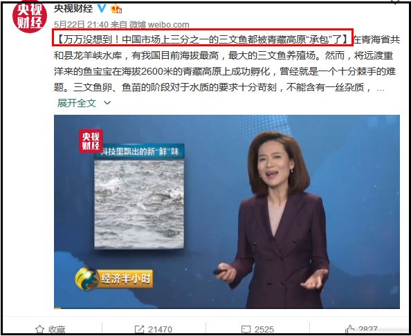 市场上60元一斤的三文鱼是假的吗,现在市面上的三文鱼是真的吗