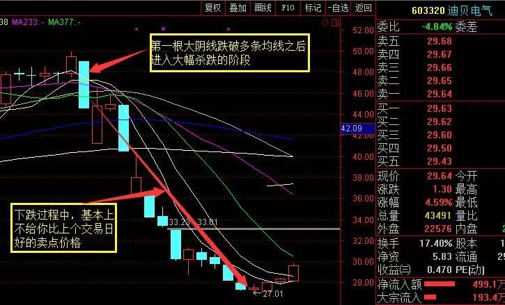 中国股市真的要股灾了吗,中国股市散户现在怎么样了