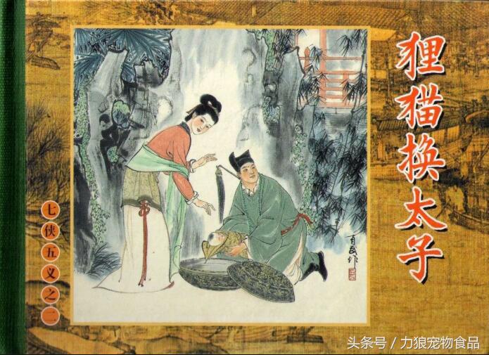 颜值爆表的8种中华田园猫,中华田园猫真的不比外国土猫好吗