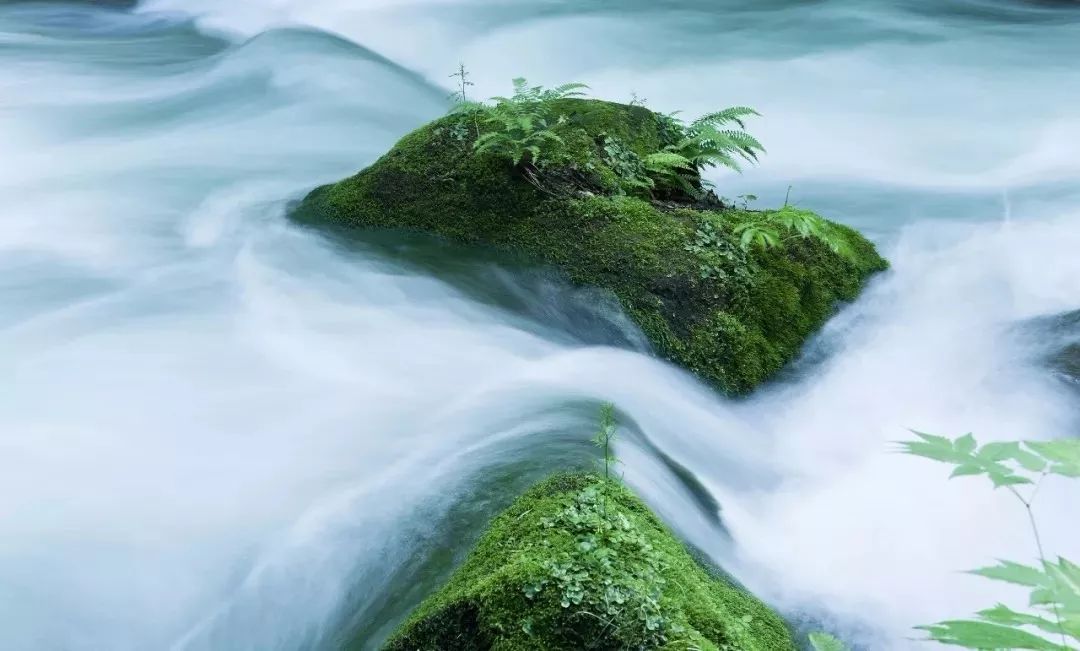 那些年倒背如流的话,那些年背过的文言文