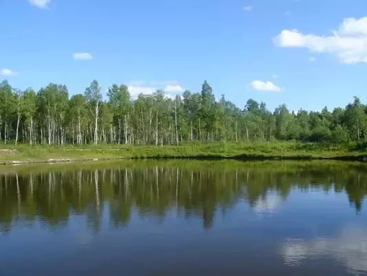 黑龙江好消息在哪里看,外交部黑龙江全球推介活动