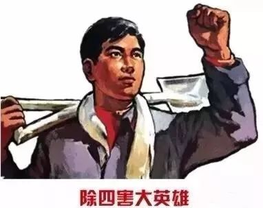 四害消杀温馨提醒,除四害科普小知识