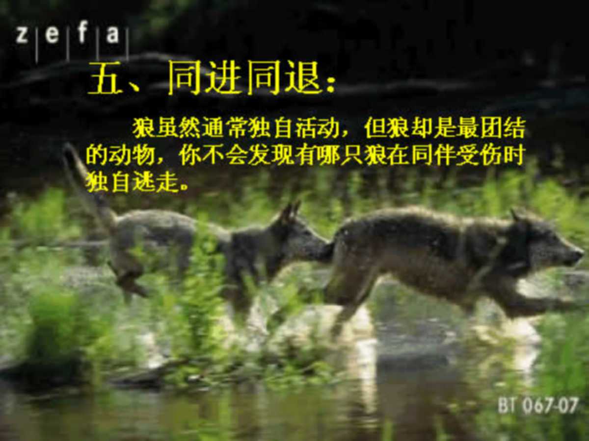 企业团队凝聚力培训ppt,企业团队精神培训ppt