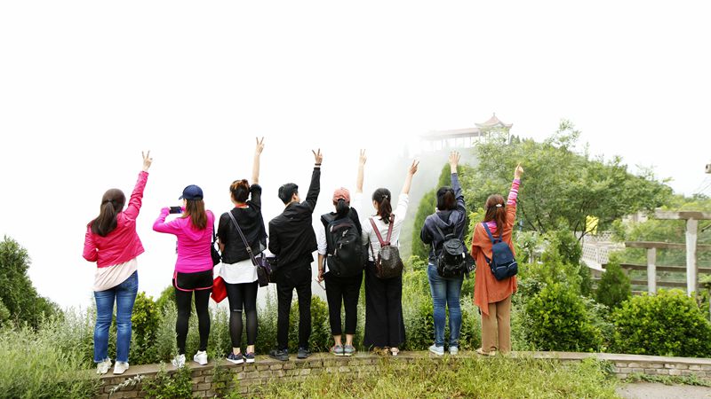 陕富麦胚面粉,陕富新疆面粉