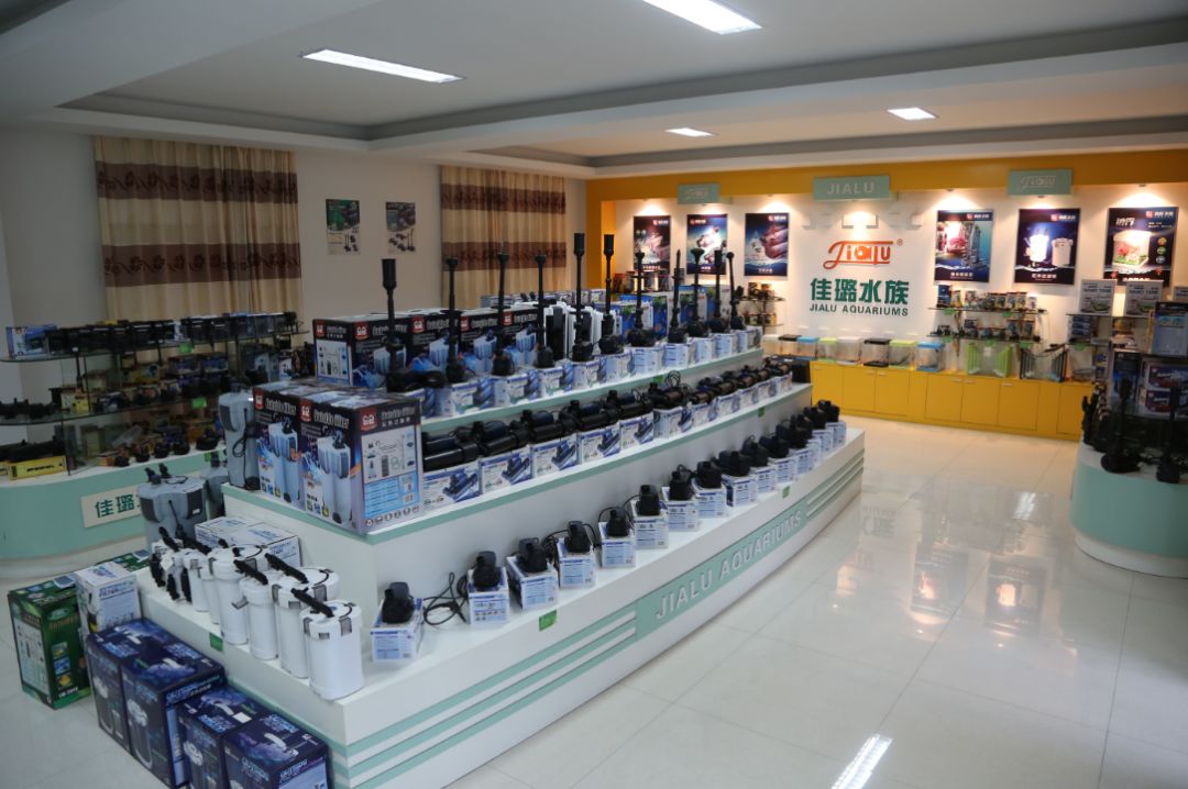 森森水族效益咋样,森森水族盈利情况