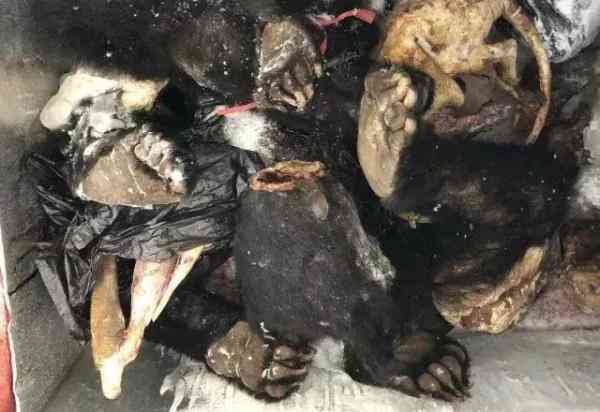 朋友圈里卖低价服装的真相,朋友圈代购低价套路