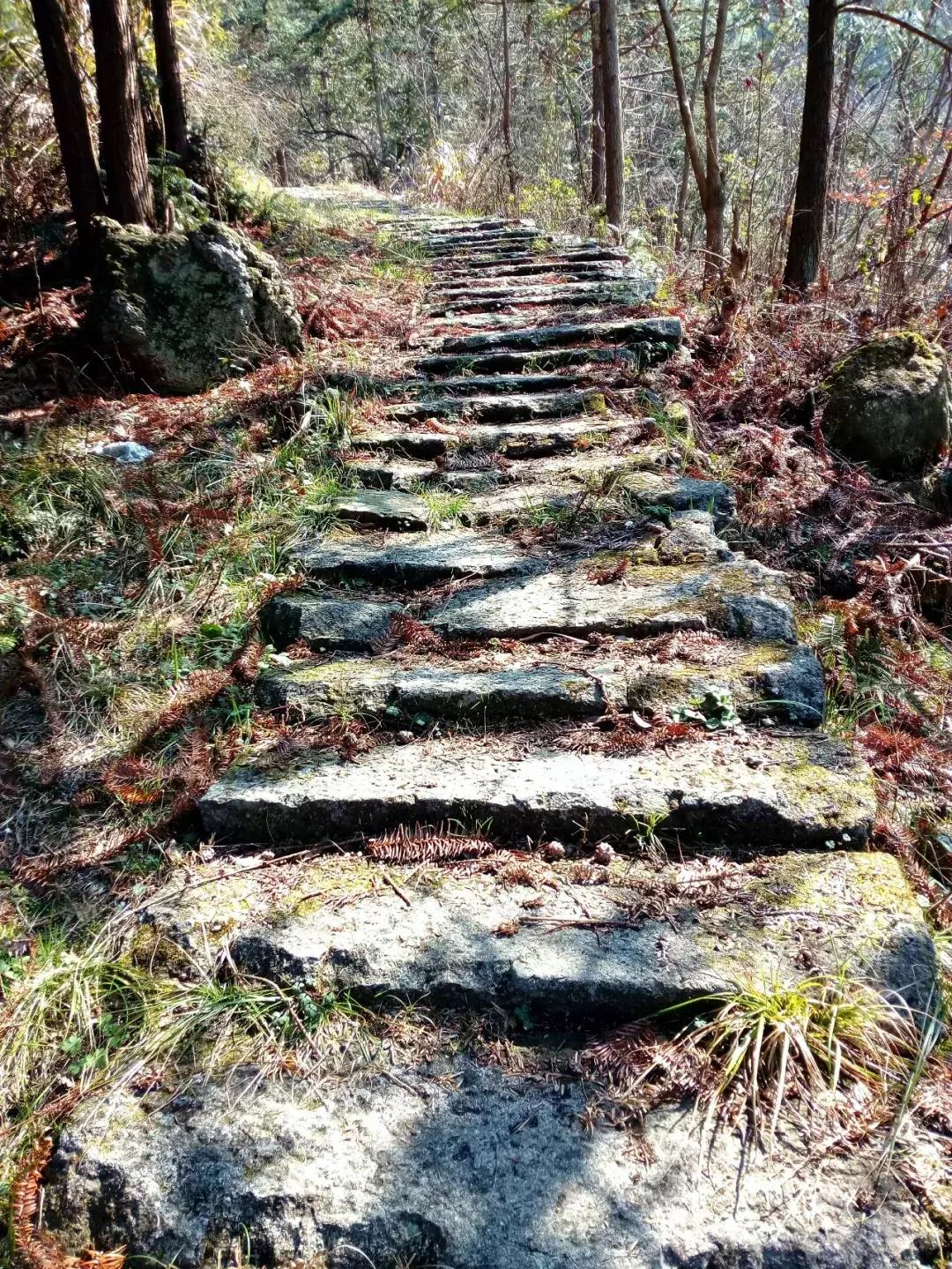 如何把照片拍得更好,你可以拍得更好的英文