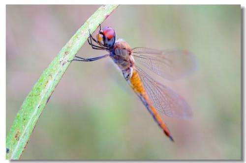 一般人不知道的科普冷知识,给大家普及一下冷知识