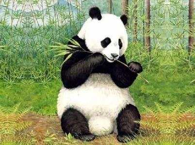 一般人不知道的科普冷知识,给大家普及一下冷知识