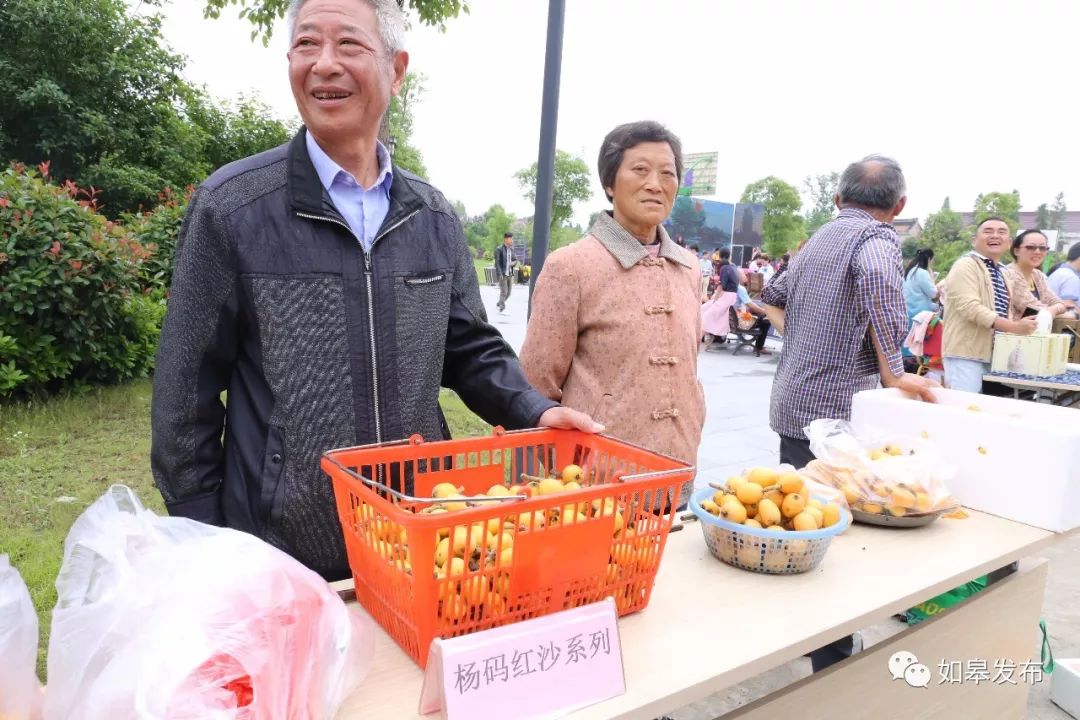 如皋这个地方种了一种神奇的树！树上会掉“金蛋”，“无涌”的人去“抢”！