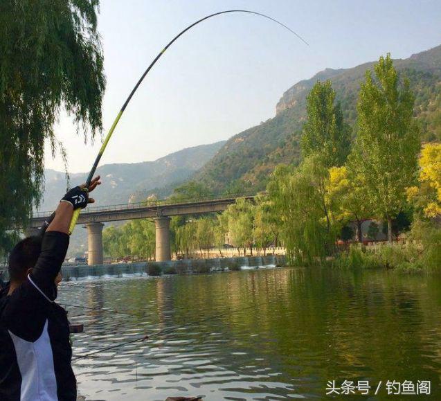 新手选择鱼竿综合竿怎么选,新手如何选择手竿鱼竿