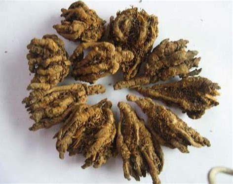 喉咙吞咽疼痛口苦口干,咽喉痛咽干口苦