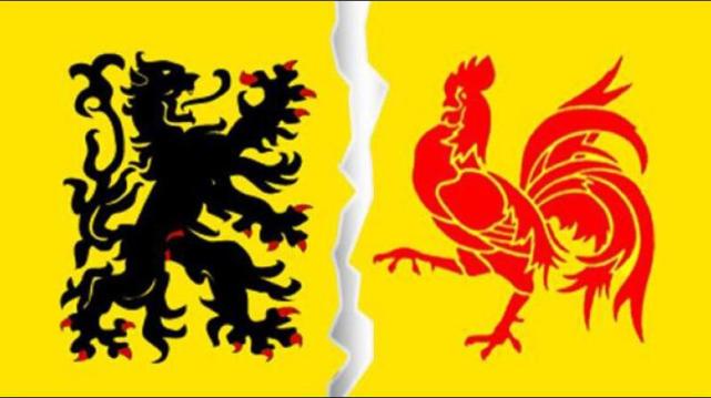 世界杯32强巡礼之比利时,世界杯32强巡礼英格兰