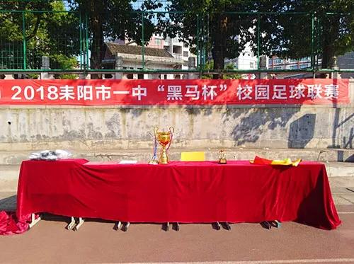 耒阳一中2018足球比赛,学校校园足球联赛赛程表