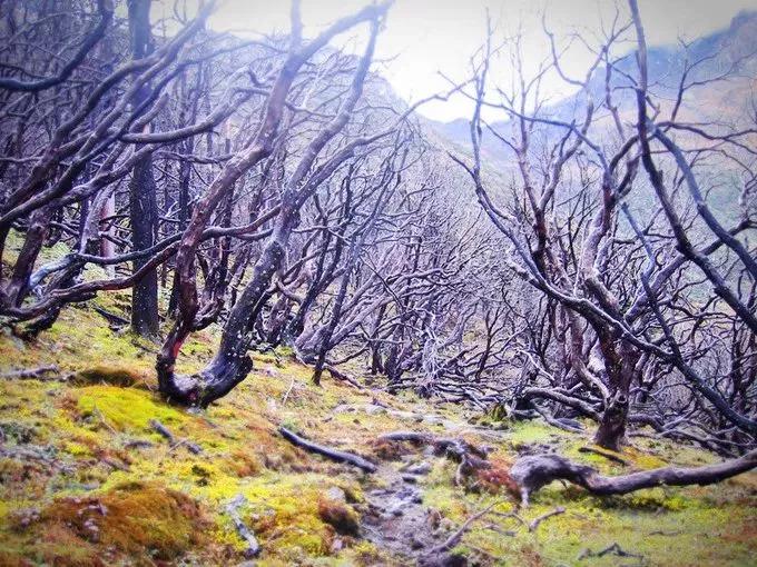 甘孜州有个很美的地方,四川甘孜之美