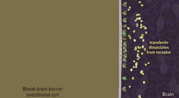 儿童用药出现不良反应怎么办,6类药值得家长警惕的儿童用药