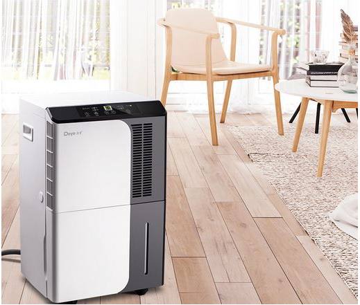 一个月大的柯基的皮肤病怎么治,柯基怎么防止皮肤病